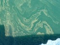 Oil spill from a leaky tanker